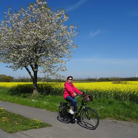 Kuestenschwalbe 펜션 Schönhagen